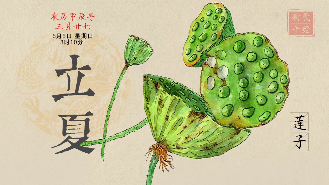 立夏 | 转眼初夏！心烦气燥难入眠？试试这种养心佳品
