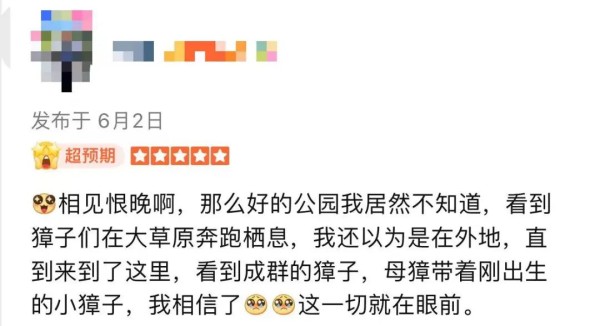 特朗普
：伊朗“现在必须同意结束这场战争”