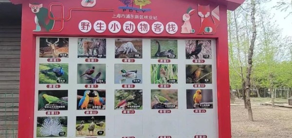 任天国公布NS系列产品新告白 Labo被辞退任籍了？
