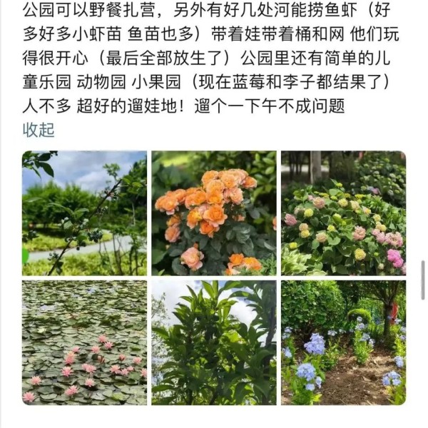蔡磊妻子：我们会得罪很多人，所以有心理准备