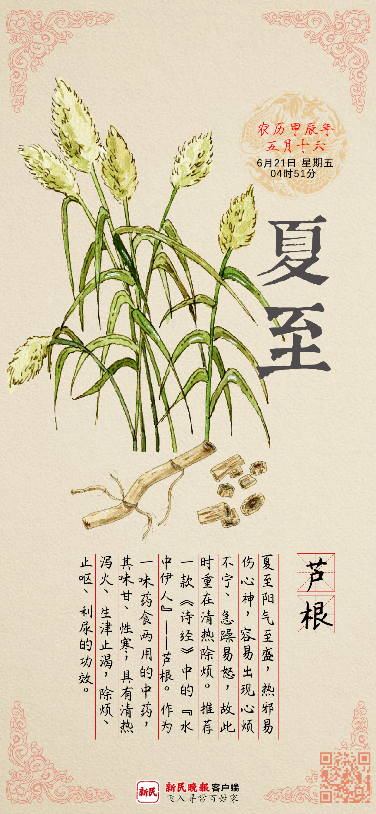 夏至 | 炎炎夏日热邪伤神，试试这味“水中伊人”最是适宜