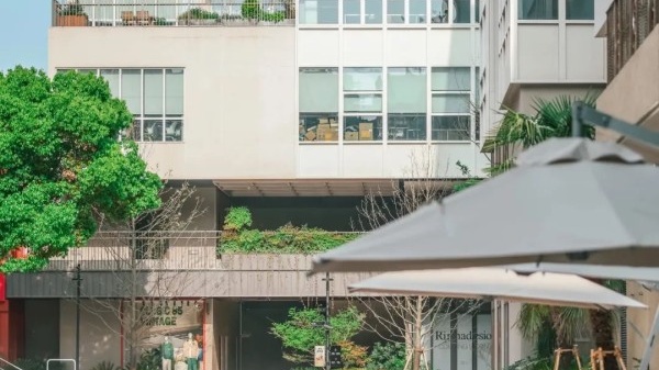 又city又自然！上海新增“网绿地标”！城市里的小森林，打卡攻略→