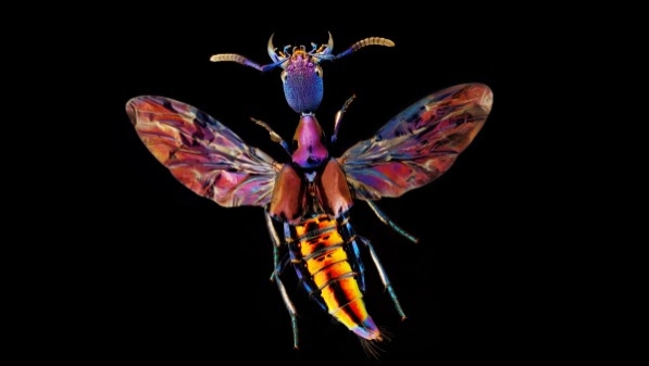 登上《国家地理》最年轻的中国摄影师，是一位17岁的上海少年