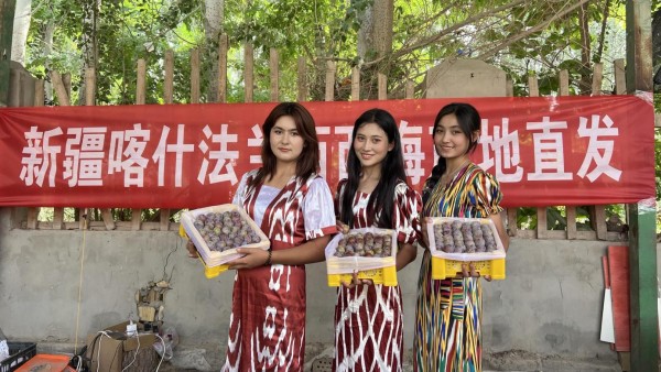 新疆水果大丰收，叮咚买菜新疆西梅销量预计增长4倍