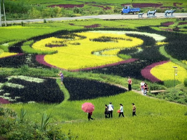 美丽滇西盈江行  定格多彩民族风