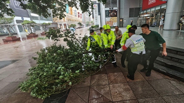 新民快评｜台风登陆后，不能有丝毫麻痹和松懈