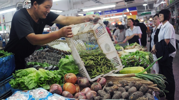 新民随笔｜中秋芋艿暮秋凉