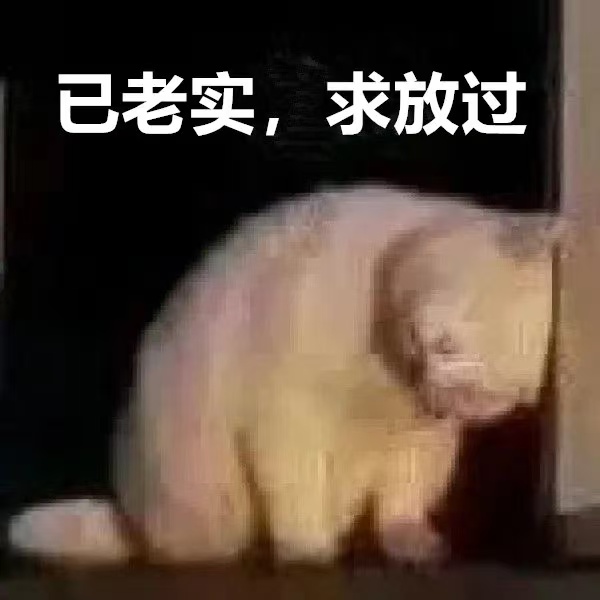 可能是全网最快乐的罚款！这位上海女同志被罚后居然提要求...交警的反应亮了�！