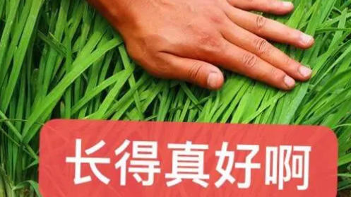 免费带炒股？有人一下亏了30万！上海官方提示：谨慎！小心血本无归→