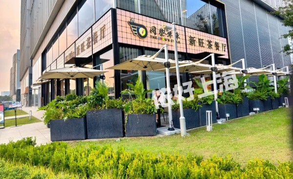 中国最北城市漠河迎来第35个北极光节