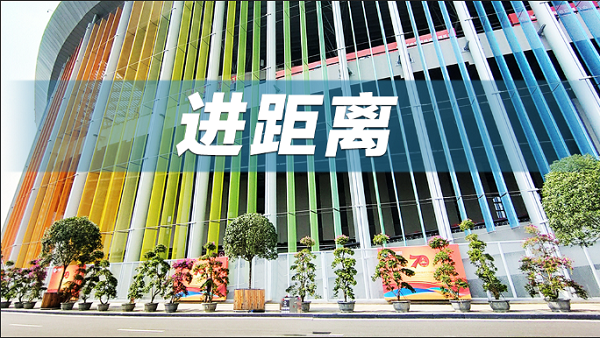 助力企业走出去，科技企业出海共创服务亮相2024进博会