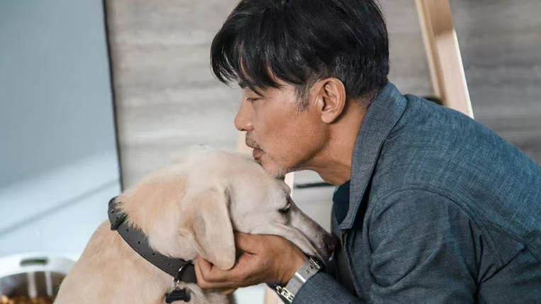 养宠物无需邻居同意，这类人的“刚需犬”却要全楼表决，为何？