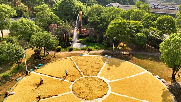 【央视快评】奋力谱写供销合作事业高质量发展新篇章