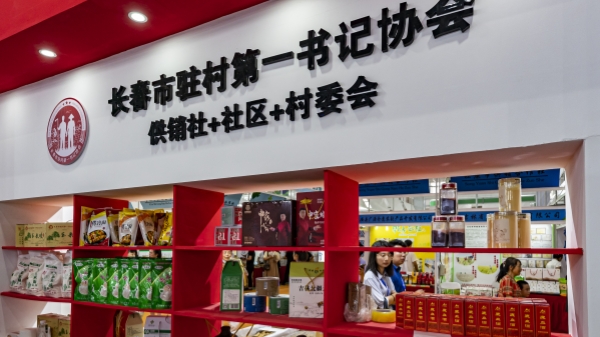 联播+｜这支力量 总书记为何强调要“充分用好”？