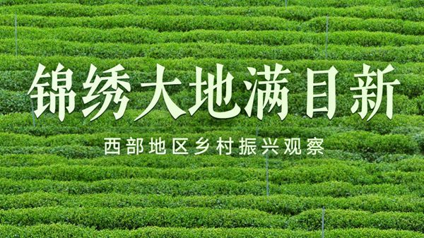 锦绣大地满目新——西部地区乡村振兴观察