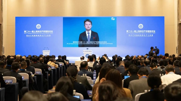 营造一流知识产权保护环境，促进创新创意产业蓬勃发展