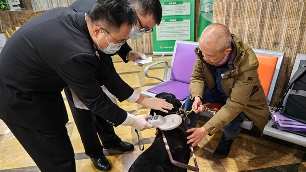 “只跑一趟”全部搞定，视障人士携工作犬进出境享绿色通道