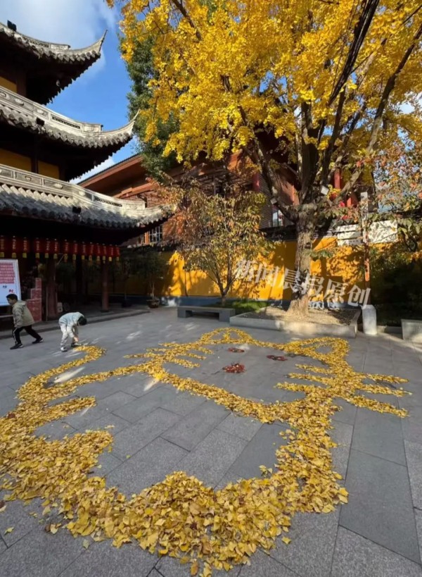 扫地僧的杰作？上海龙华寺内“银杏猫咪”走红！千年古刹禅意浓浓！