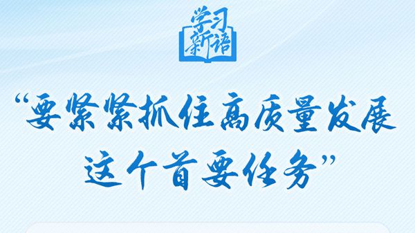 “要紧紧抓住高质量发展这个首要任务”