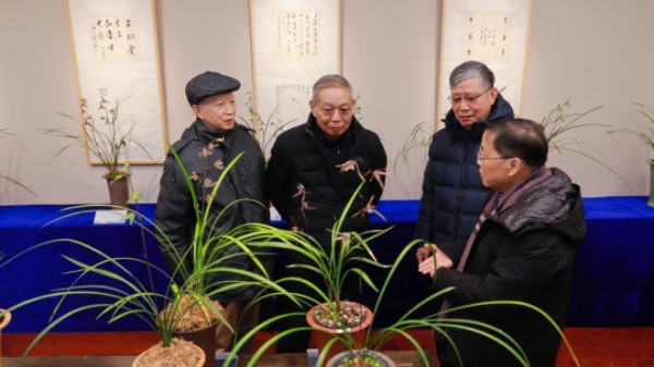 赏兰花之美、品文化之韵，海上凤鸣2024寒兰展暨名人诗书画鉴赏会举行