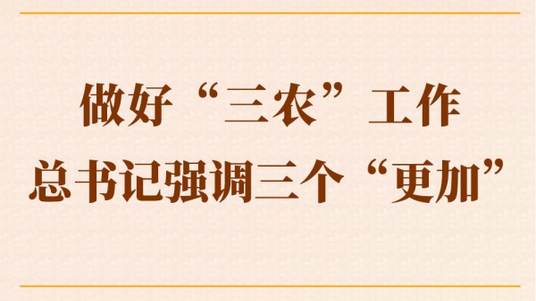 第一观察 | 做好“三农”工作 总书记强调三个“更加”