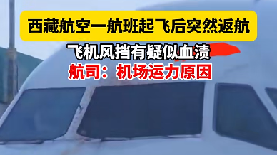 “有血渍痕迹！”一航班起飞后突然返航，官方通报