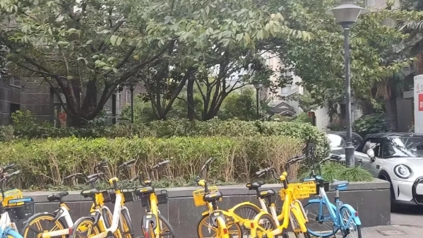 长寿防“违”杜渐工作法让违建整治“不止步”