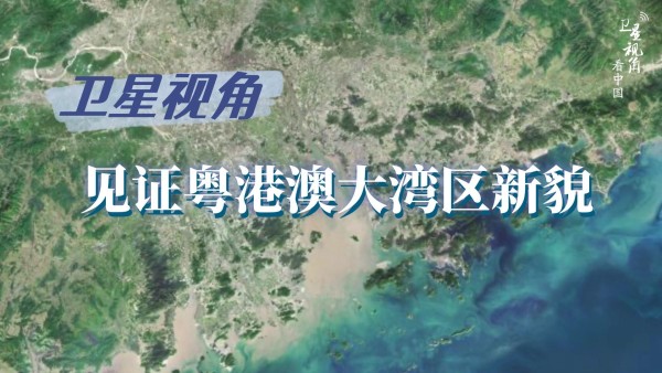 循着总书记关切，见证粤港澳大湾区新貌
