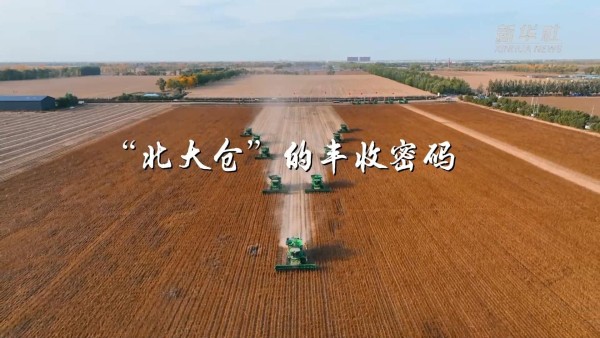 当好国家粮食安全“压舱石”——“北大仓”的丰收密码