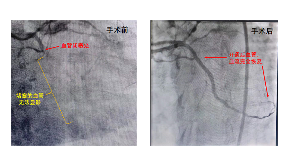 齐发app 齐发app下载 齐发手机版官网app