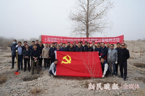 上海援疆莎车分指积极开展主题党日暨植树活动
