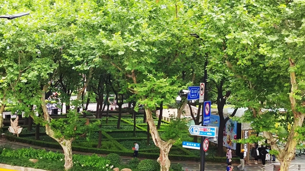 为一个人 逛一座城 | 赵景深与四明里6号的前尘往事