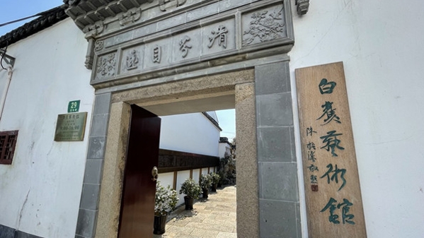 为一个人 逛一座城 | 到金山张堰寻访白蕉的足迹