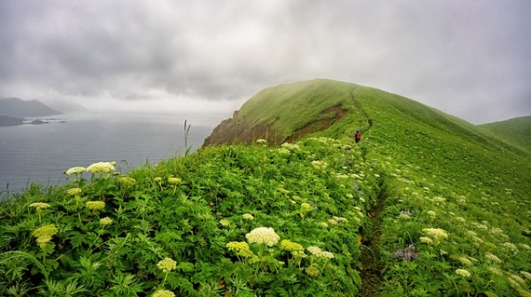 薛舒：婆婆大人