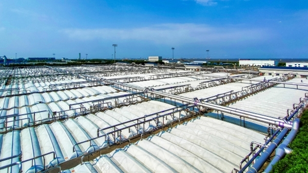 践行“两山”理论 推进“双碳”工作 上海市代表团热议绿色发展