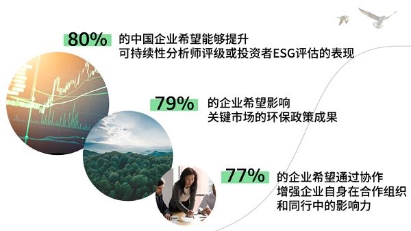 三分之二的中国企业认为：“协作”对于实现净零排放至关重要