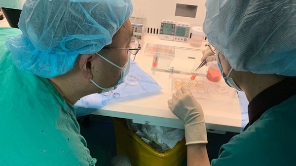 为胃部肿瘤患者留存生育希望！仁济医院多学科协作完成部分卵巢组织冻存术