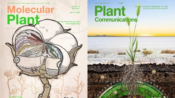 《分子植物》SCI影响因子27.5 排名居植物科学类期刊全球第一