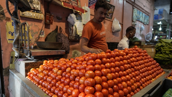 印度持续热浪 西红柿价格疯涨