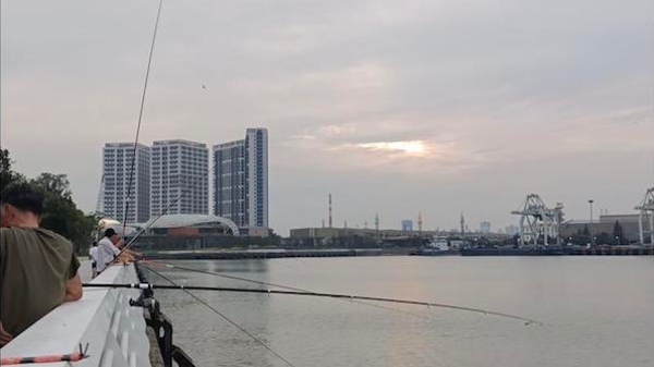 2023夏令热线 | 在宝山滨江钓鲢鱼 长江水域休闲垂钓到底可不可以？