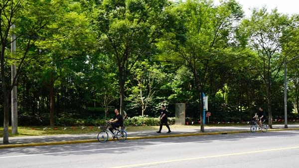 哈啰发布上海暑期出行数据：骑行漫游和租车自驾的人多了