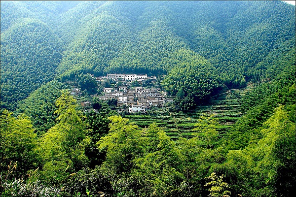 魅力黟县！不容错过的秋冬季文旅特色活动有这些_城生活_新民网