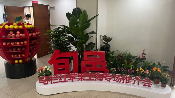 这些品种的苹果你听说过吗？这场推介会上，“马栏红”亮相，四笔签约达成