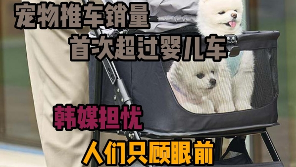 深视频丨韩国宠物推车销量首次超过婴儿车，韩媒忧虑人们只忙于活在当下