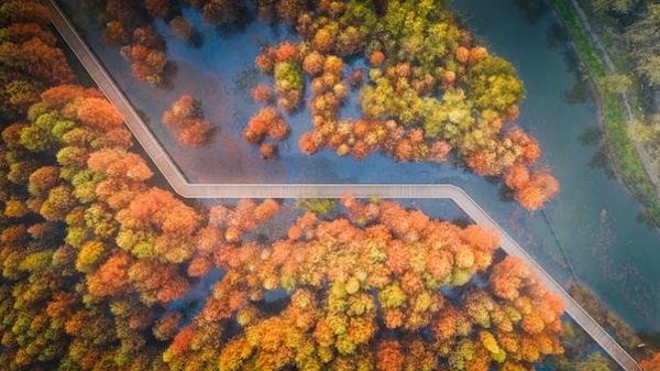 崇明西沙明珠湖景区成功创建“国家5A”，是如何做到的？