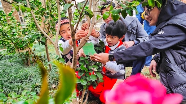 这个春天，打一小学的孩子们在树爷爷身边种下一株树宝宝