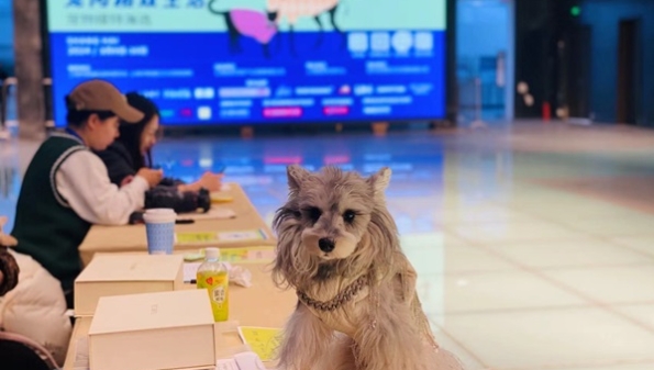 上海“宠爱嘉年华”3月下旬举行，宠物也有自己的时尚style