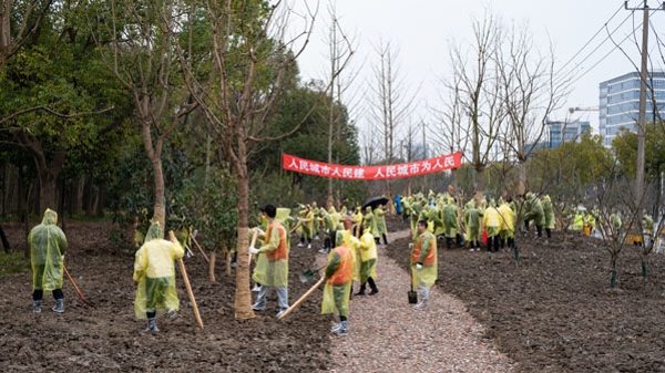 “植”此青绿，同绘春景！金山区开展2024年度春季全民义务植树活动