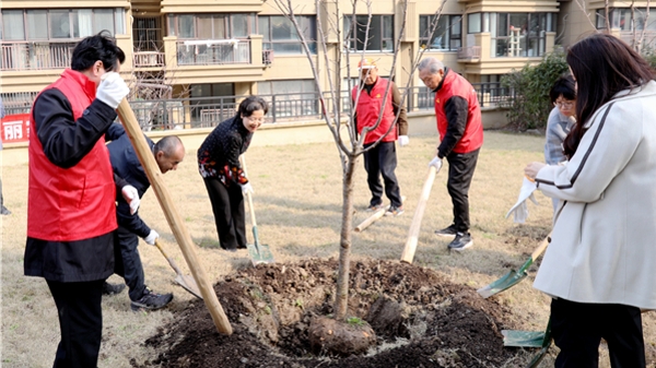 第46个植树节，金山区石化街道这里手“植”春光、共“树”未来