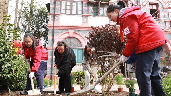 植树种绿焕新家园 虹口历史文化风貌小区今种下百余树苗